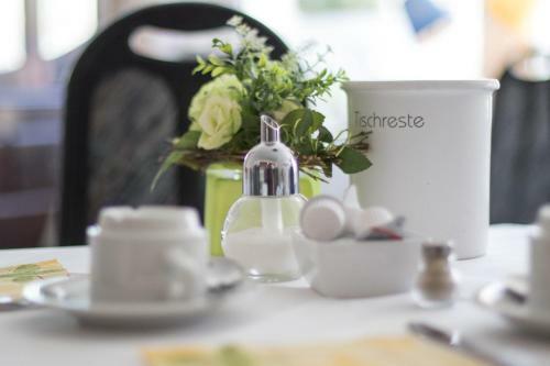 Hostal Hotel Alscher