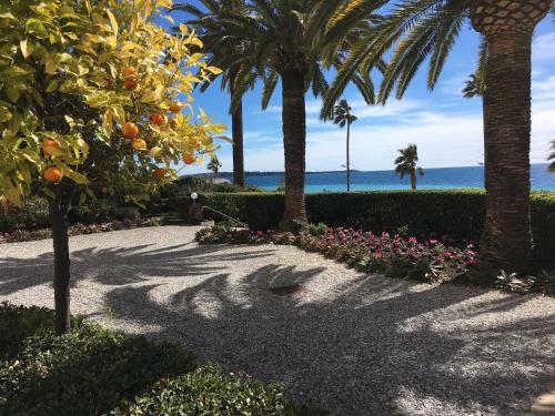 Apartamento Azur Studios Cannes