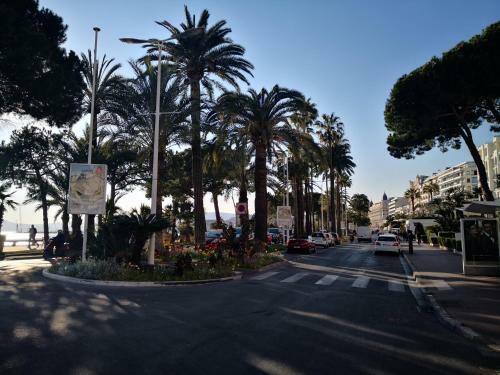 Apartment Cannes Croisette