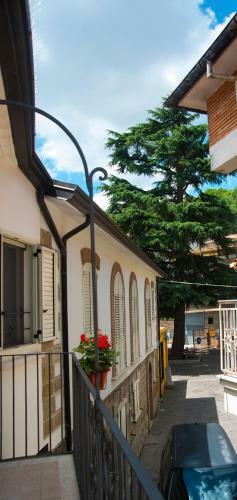 B&B La Pigna