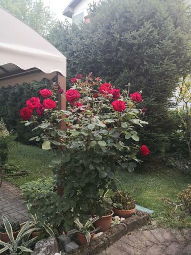 Hostal La Casa Di Tino