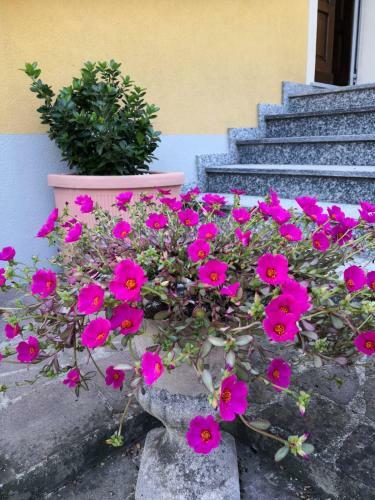 Hostal La Casa Di Tino