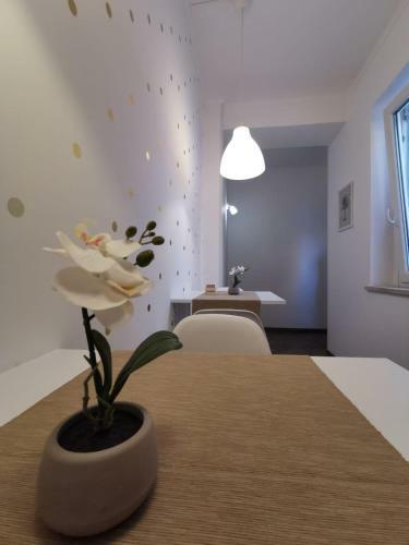Bed & Breakfast Sea Fly Guest House