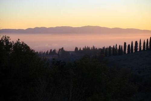 Hostal C&c Il Treggio