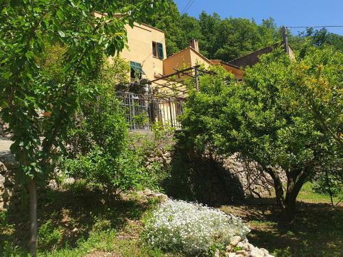 Agroturismo Agriturismo Alveare
