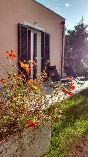 Bed & Breakfast La Vie Est Belle