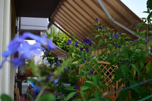 Hostal Domus Socolatae Apartments&suites