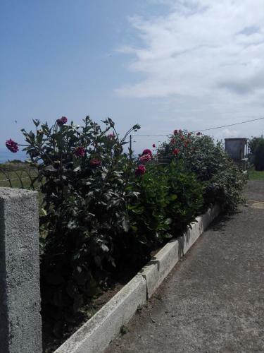 Apartamento Casa Vicente