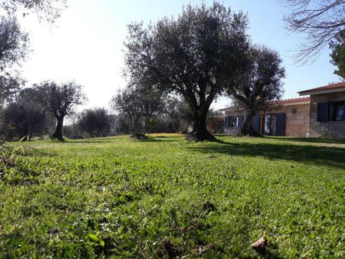 Agroturismo Quinta Da Pedra Mija