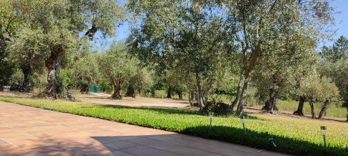 Agroturismo Quinta Da Pedra Mija