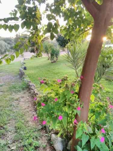 Quinta Da Perdiz Country House