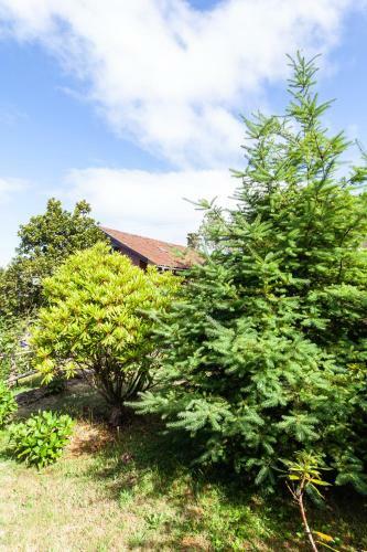 Chalet Pico Das Pedras