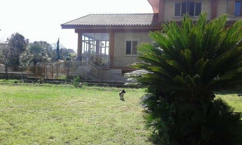 Hostal Villa Lucia Affitta Camere