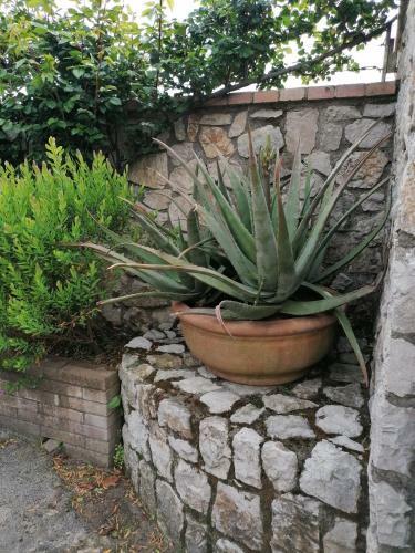 Apartamento Mansarda Sul Golfo