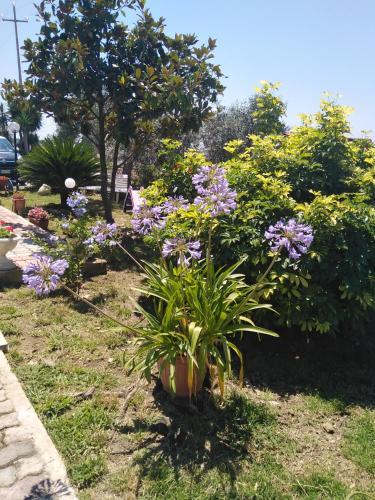 Apartamento Appartamento Casa Vacanza