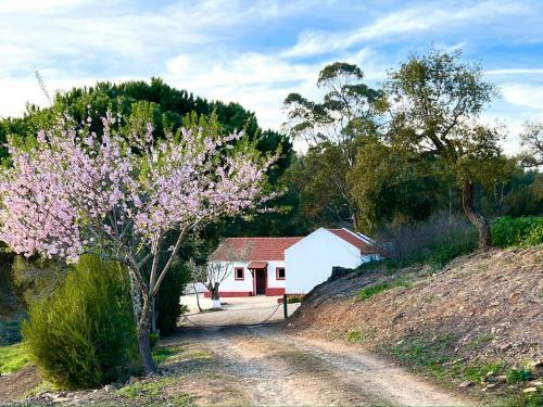 Monte Do Pereiro