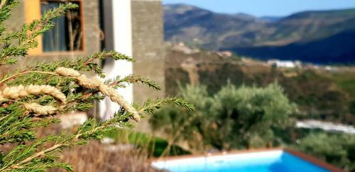 Bed & Breakfast Casa Do Arco By Douro Exclusive