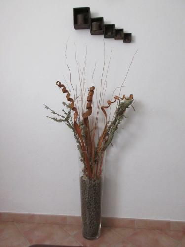 Casa Manuel
