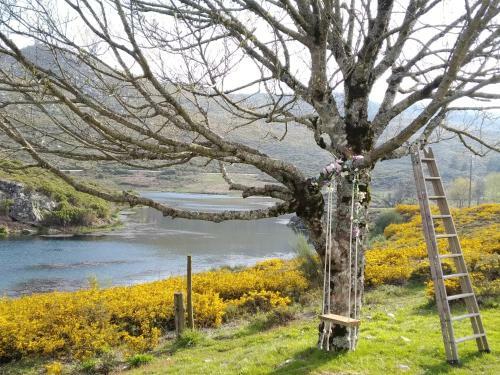 Bed & Breakfast Lago Da Gar�a Guesthouse