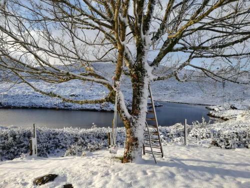 Bed & Breakfast Lago Da Gar�a Guesthouse