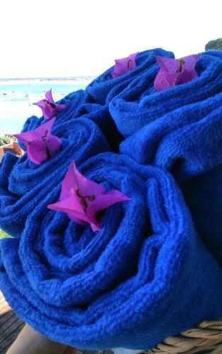 Bed & Breakfast Vistalmar S�o Martinho