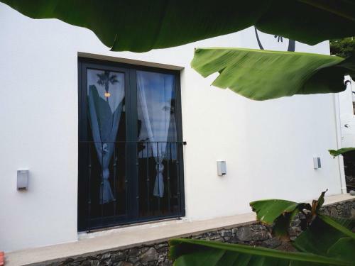 Apartamento Lazy Lizard By The Ocean