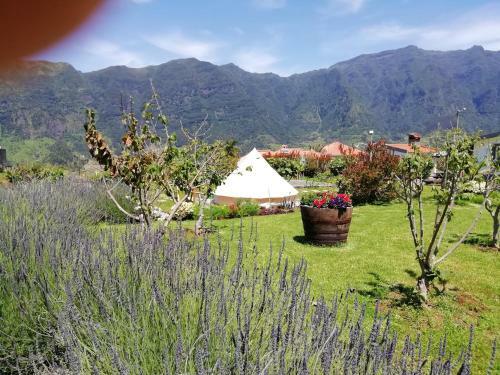 Agroturismo Granny's Farm