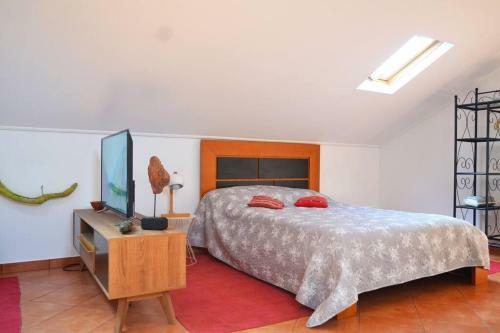 Apartamento Lazy Lizard Studio