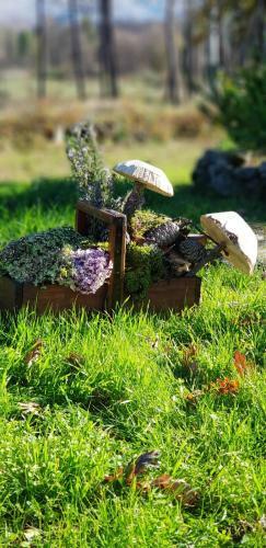 Agroturismo Quinta Damigo