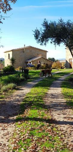 Agroturismo Quinta Damigo