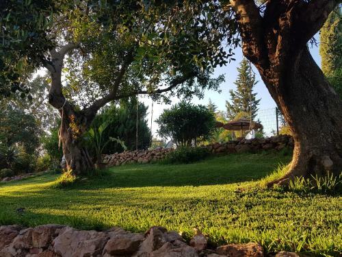 Agroturismo Quinta Teresinha