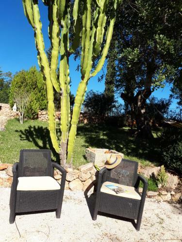 Agroturismo Quinta Teresinha