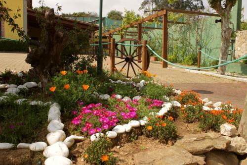 Quinta Sobral Prestige - Rustic House