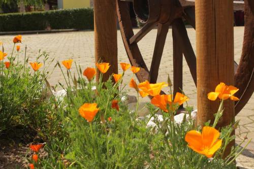 Agroturismo Quinta Sobral Prestige - Little Rustic