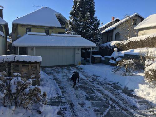 Apartamento Studio Hofer