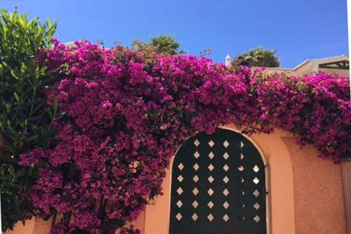 Villa Vila Bela Nova, Urb. Ac�cias 22.