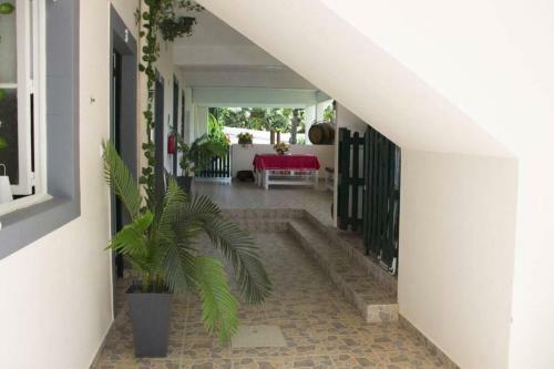Apartamento Luxurious Suite IV In Tabua