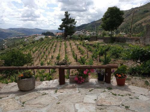 Casa Da Vinha Em Tabua�o - Douro