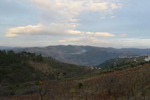 Casa Da Vinha Em Tabua�o - Douro