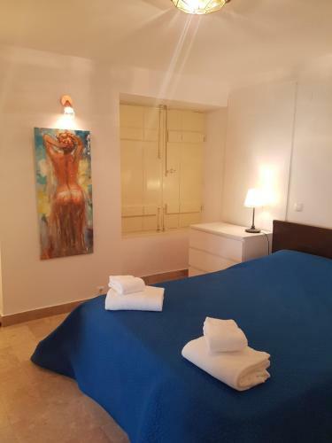 Apartamento Casa Visconde de Alc�cer