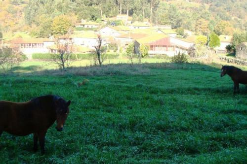 Casa de S� - A Natureza No Ger�s