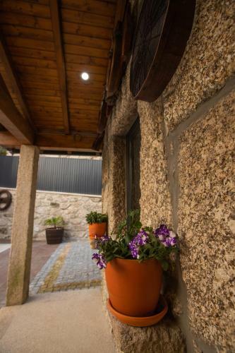 Lamegos Guesthouse