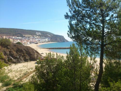 Amazing Beach & Pool Apartment With Garden