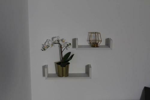 Apartamento Casa Da Ma��