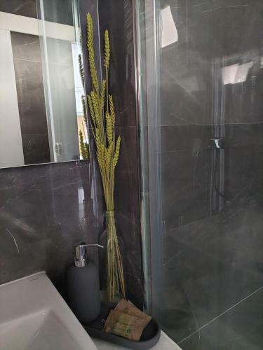 Apartamento Acqua Marine