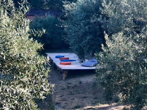 Hostal Relaxscape