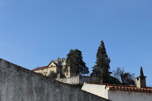 Apartamento Casa Flor Do Camar�o - Centro Hist�rico de Tomar