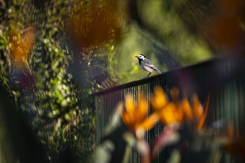 Bed & Breakfast Quinta Do P� Descal�o