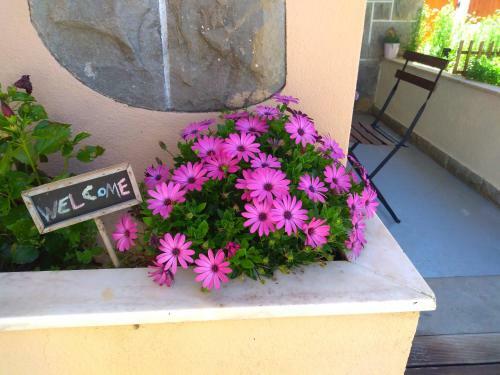 Beach House With Garden