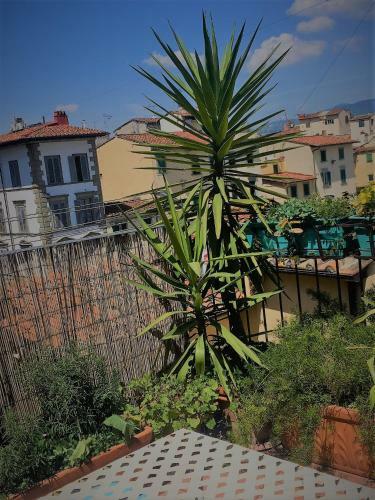 Apartamento Terrazza Su Sant'ambrogio A Firenze